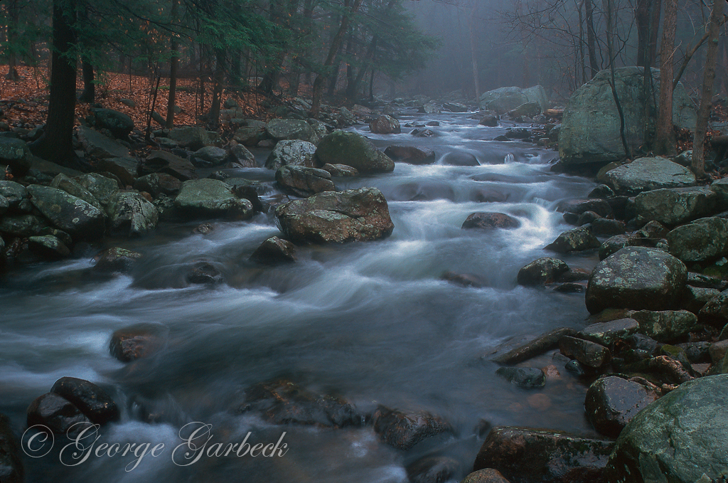 Late Autumn, Stony Brook
